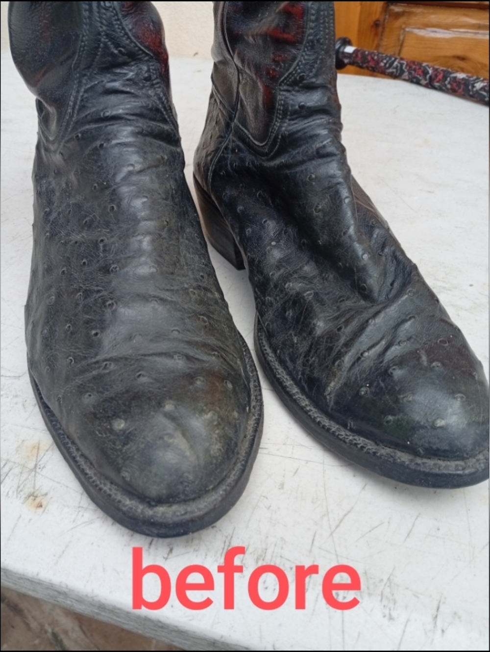 Lucchese Full Quill Ostrich Relast